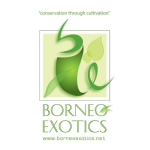 Borneo-Exotics-(pvt)Ltd